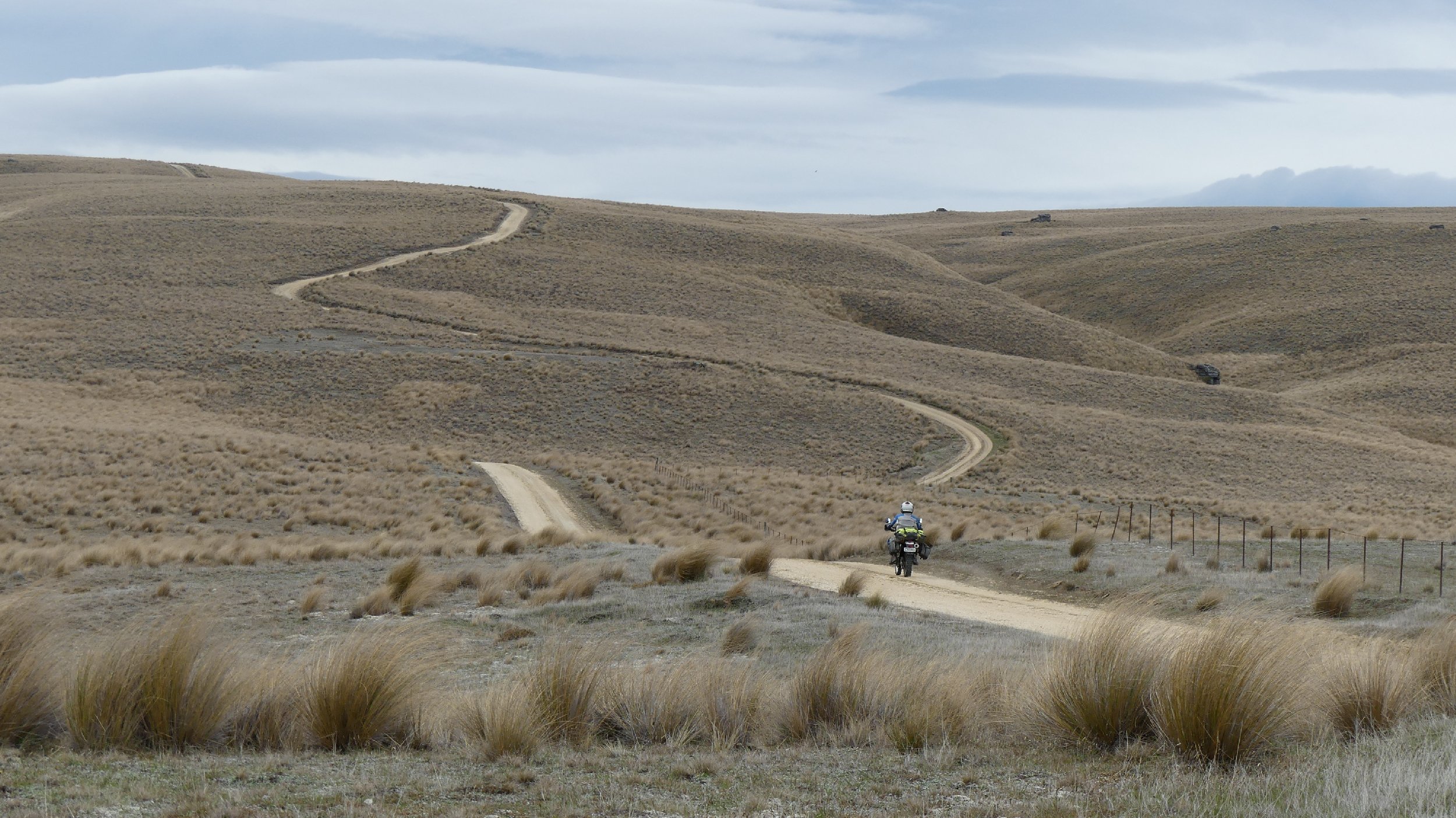 2024_NZ_SI_366.JPG
