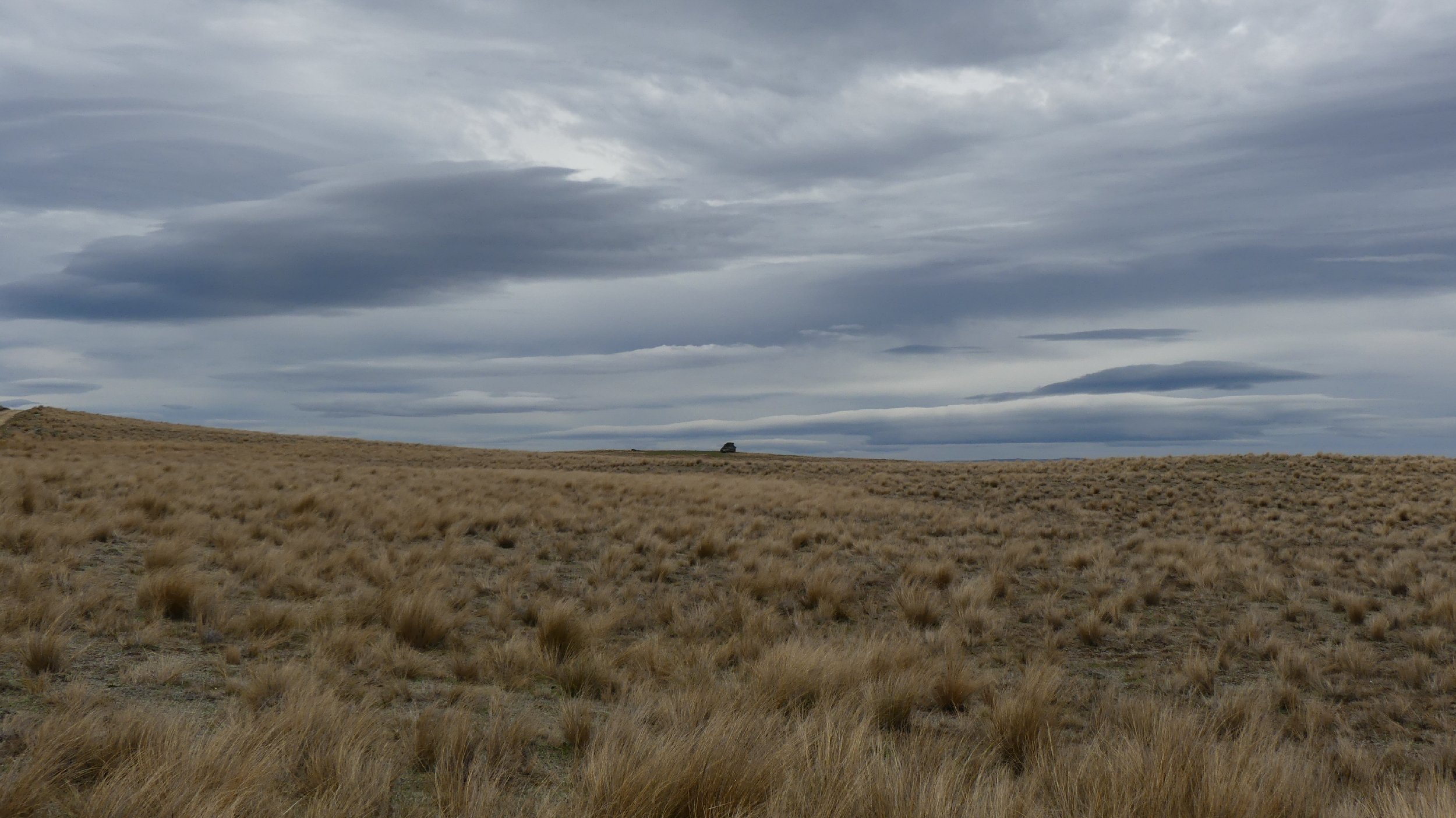 2024_NZ_SI_370.JPG