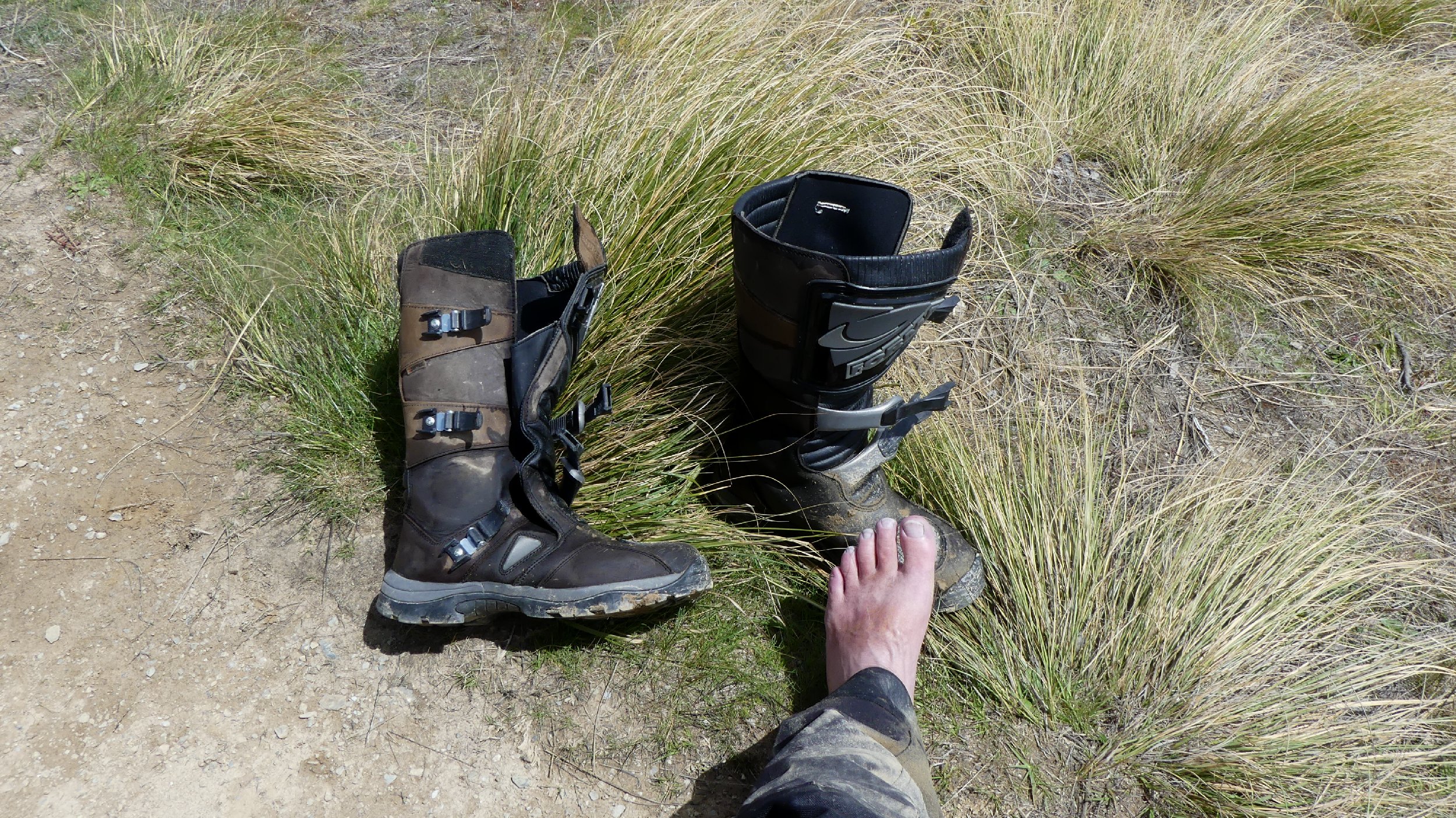2024_NZ_SI_347.JPG