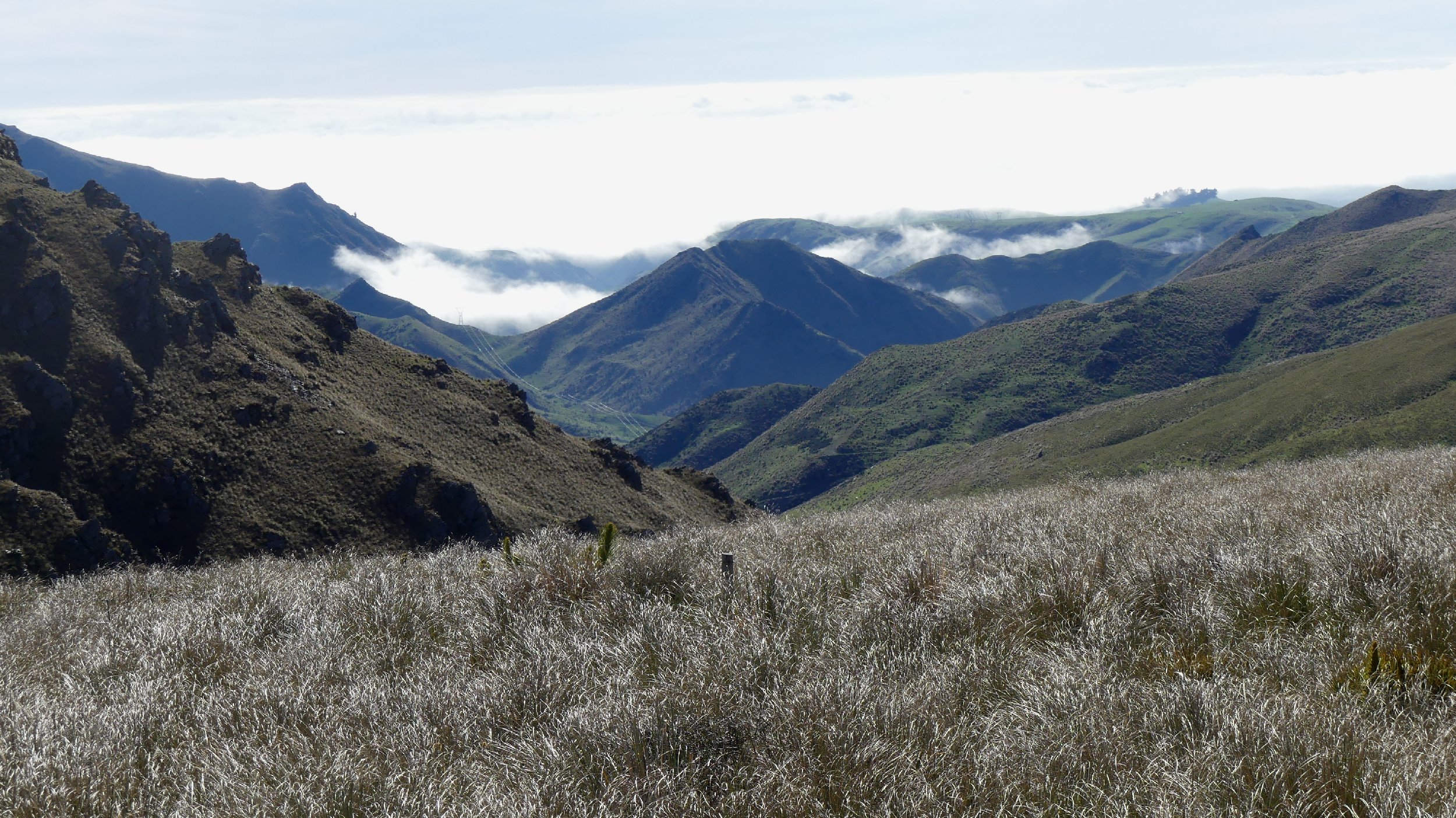 2024_NZ_SI_377.JPG