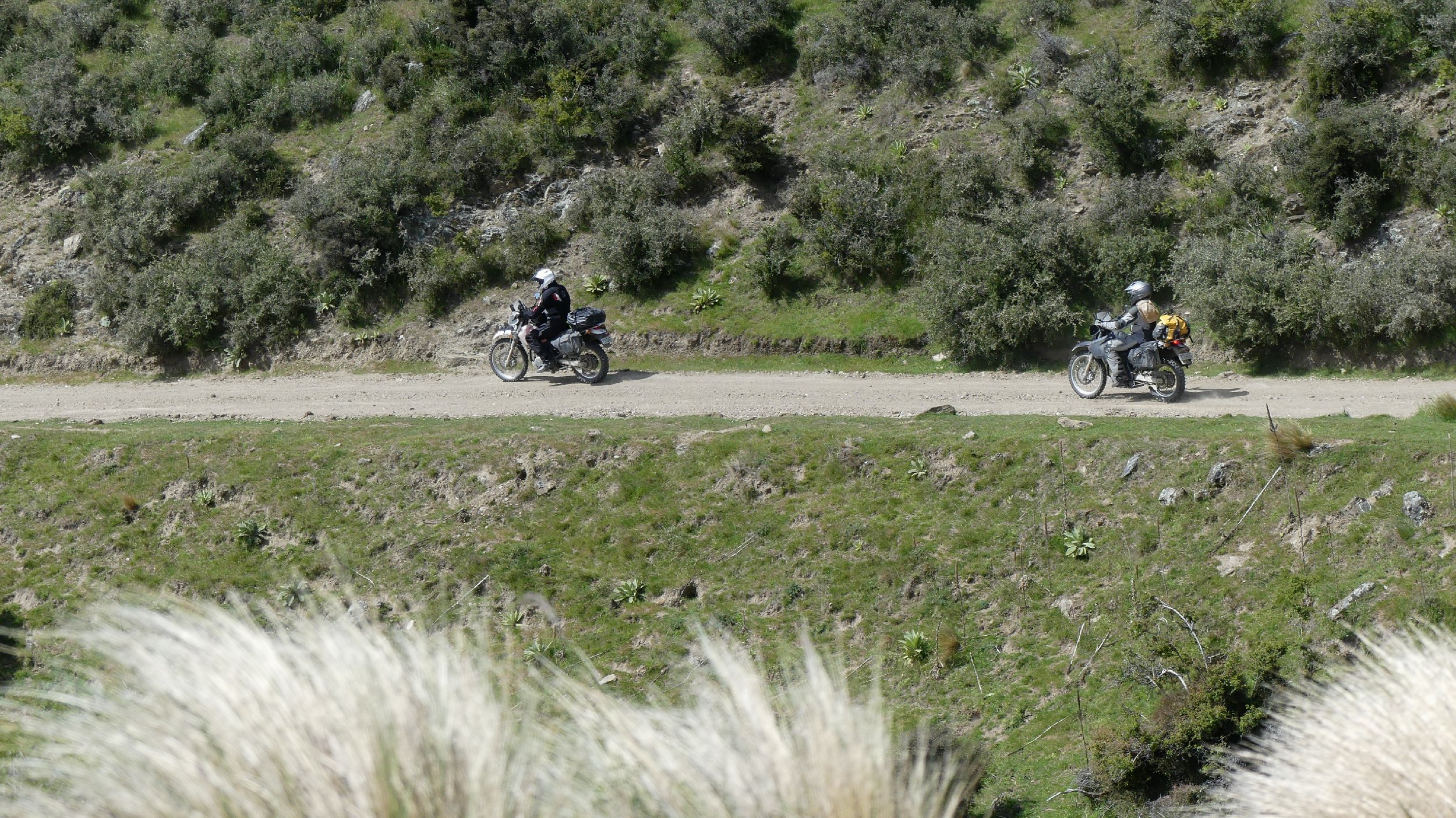 2024_NZ_SI_365.JPG