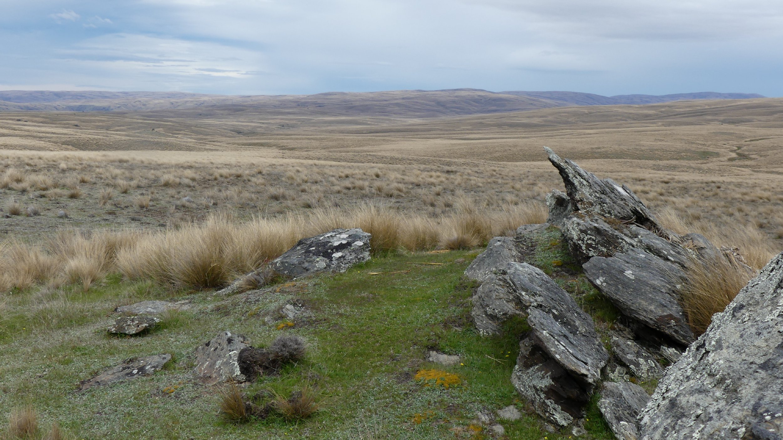 2024_NZ_SI_369.JPG