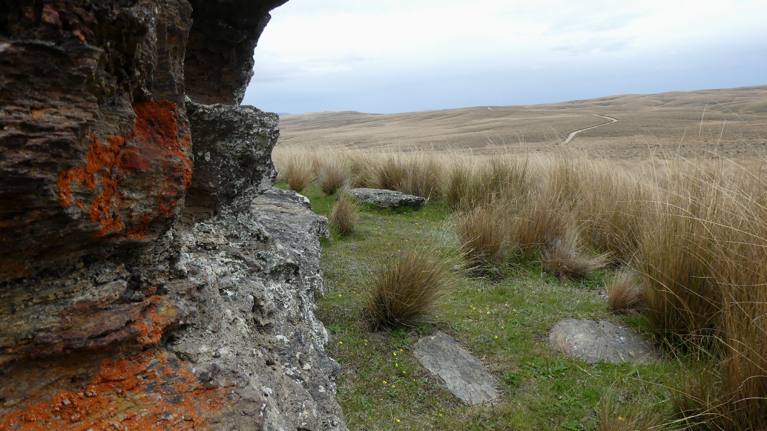 2024_NZ_SI_367.JPG