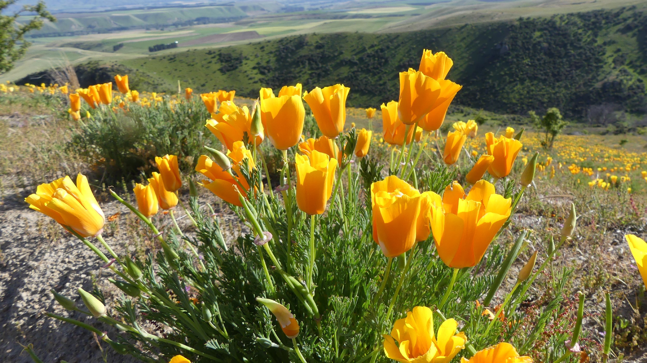2024_NZ_SI_355.JPG