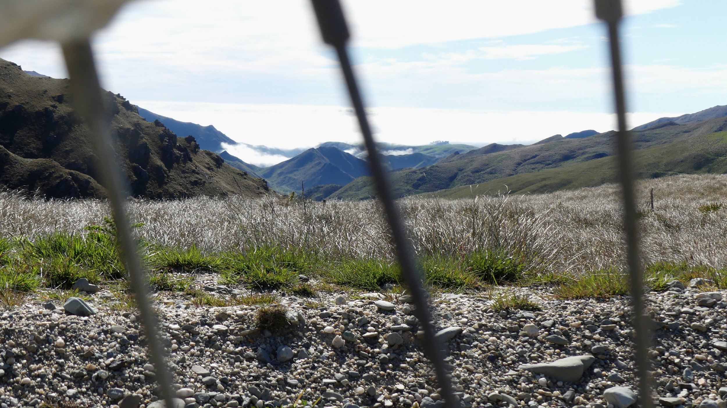 2024_NZ_SI_376.JPG