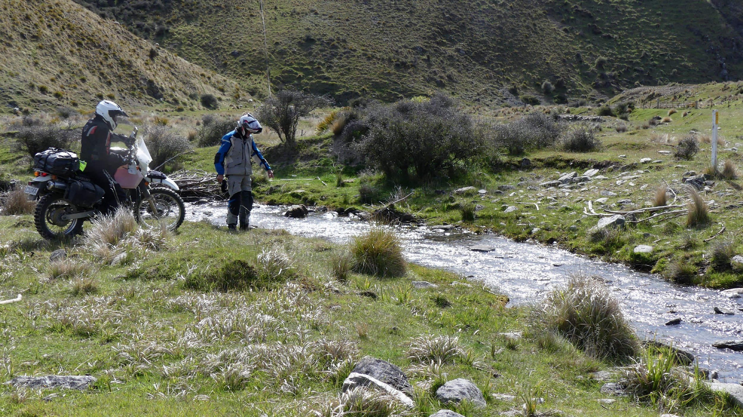 2024_NZ_SI_361.JPG